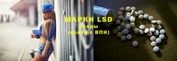 PSILOCYBIN Гусев