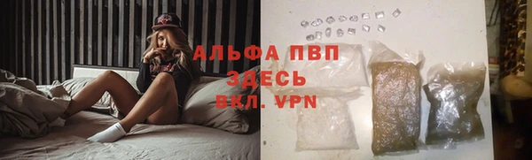 PSILOCYBIN Гусев