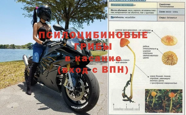 СК Дмитровск