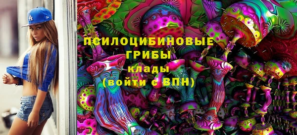 a pvp Гусиноозёрск
