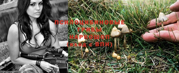 PSILOCYBIN Гусев