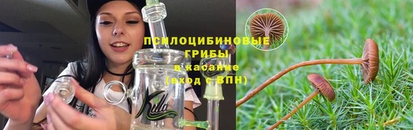 PSILOCYBIN Гусев