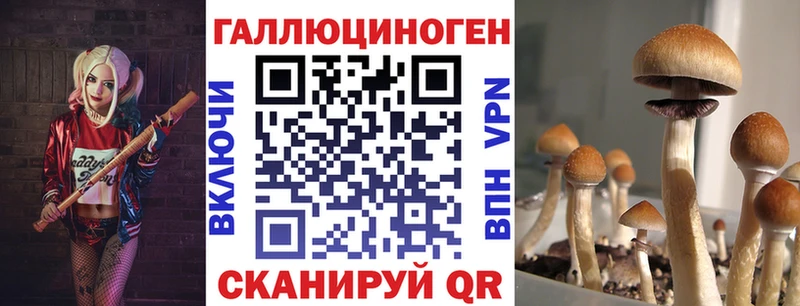купить закладку  Камышин  Псилоцибиновые грибы Magic Shrooms 