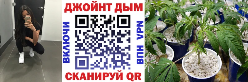 Бошки марихуана Amnesia  Камышин 